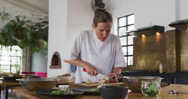 Professional Female Chef Preparing Gourmet Meal in Modern Kitchen - Download Free Stock Images Pikwizard.com