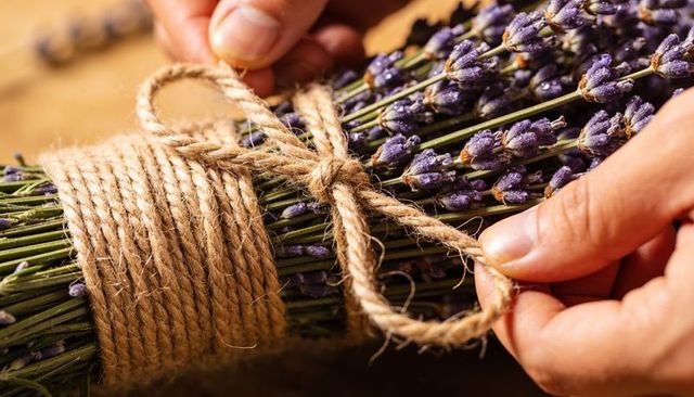 Hands tying rustic lavender bundle with jute twine close-up, floral craft and herbal gift