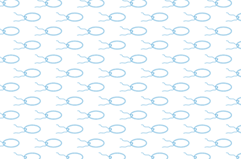 blue badge patterns on transparent background - Download Free Stock Videos Pikwizard.com