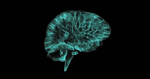 Glowing Cyan 3D Wireframe Brain Hologram Visualizing Neural Network and Cortex Structure
