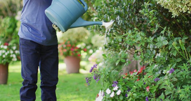 Image of focused biracial senior man watering plants in garden - Download Free Stock Photos Pikwizard.com