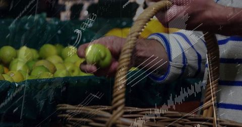 Hands picking green apple at farmers market with wicker basket and striped sweater