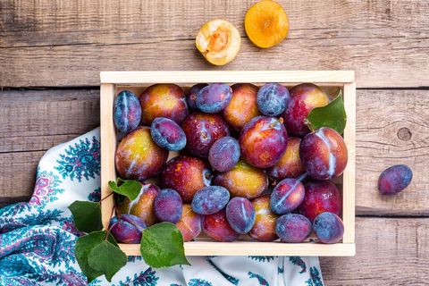 Wooden box filled with fresh juicy and colorful plums on national plum day rustic table