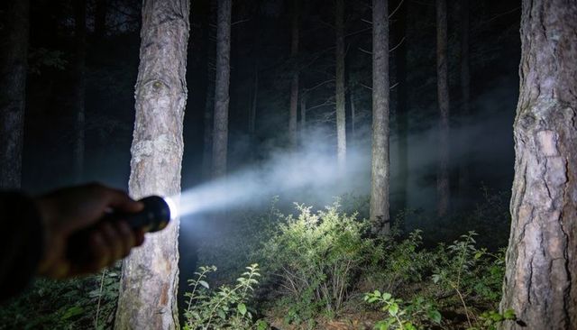 Flashlight beam cutting through night fog in pine forest, torch illuminating underbrush
