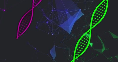 Abstract dna strands and network connections medley