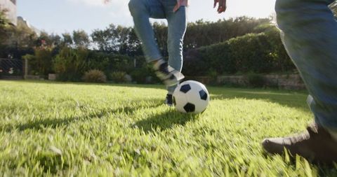 Family Bonding in Sunny Backyard Soccer Game