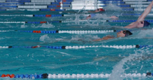 Diverse Male Swimmers Racing Backstroke in Indoor Swimming Pool during Competition - Download Free Stock Images Pikwizard.com