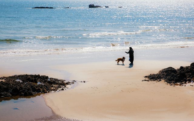 Woman and a dog standing on the beach. summer vacation and holiday concept