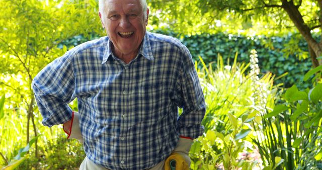 Elderly man in a plaid shirt smiles while enjoying gardening on a sunny day. Ideal for concepts related to hobbies, senior activities, health, nature, and outdoor leisure. Suitable for health wellness articles, retirement lifestyle content, and advertisements promoting active senior living.