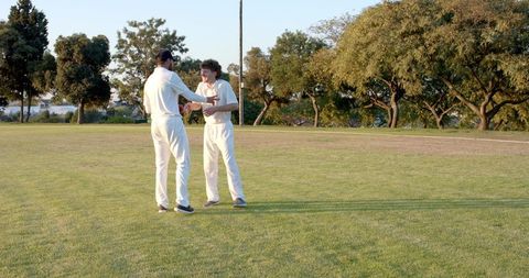 Diverse cricket teammates shaking hands on sunlit green field showing sportsmanship
