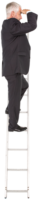 Transparent Caucasian Businessman Climbing Ladder Success Concept - Download Free Stock Videos Pikwizard.com