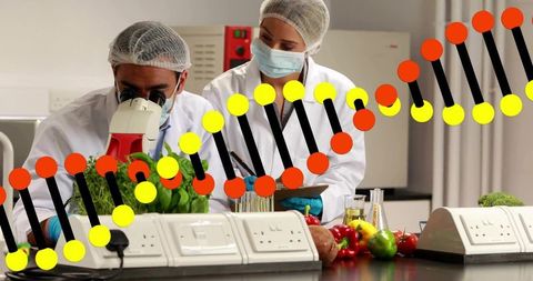 Food scientists testing produce under microscope with dna helix overlay for safety