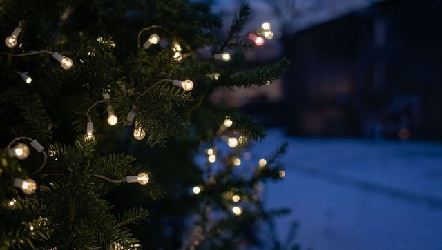 Glowing christmas lights on evergreen branch at twilight in snowy front yard, cozy holiday bokeh