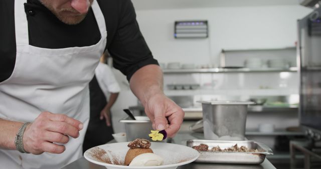 Chef Garnishing Dessert in Modern Commercial Kitchen - Download Free Stock Images Pikwizard.com