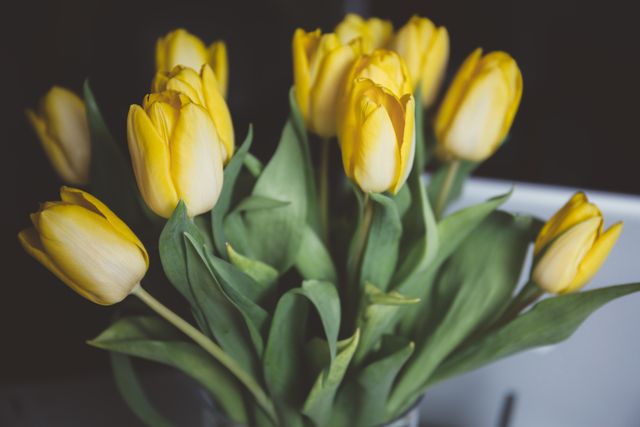 Yellow tulips arranged in a bouquet with a dark background showcase vibrant colors and natural beauty. Suitable for spring-themed projects, home decor inspiration, gardening websites, floral arrangement portfolios, or nature blogs.