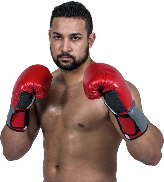 Determined Boxer in Red Gloves Preparing for Fight - Transparent Background - Download Free Stock Videos Pikwizard.com