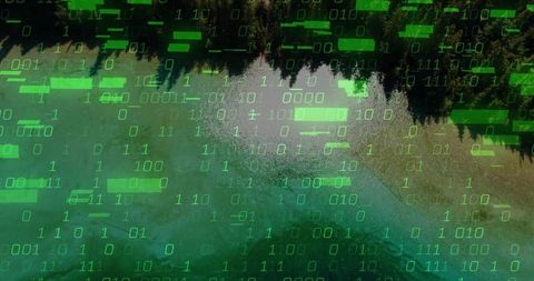 Digital Overlay on Serene Lake and Forest Landscape