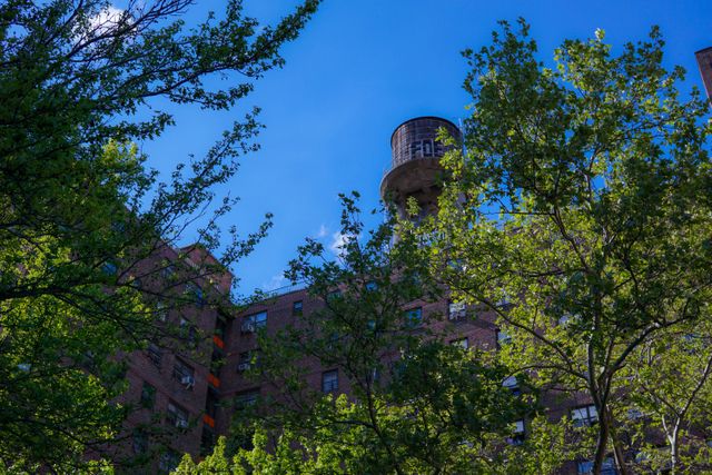 Brick residential buildings with a prominent water tower above, surrounded by lush green trees and foliage. Clear blue sky enhances the serene urban atmosphere. Perfect for themes related to city living, urban infrastructure, nature in cities, residential architecture, and neighborhood environments.
