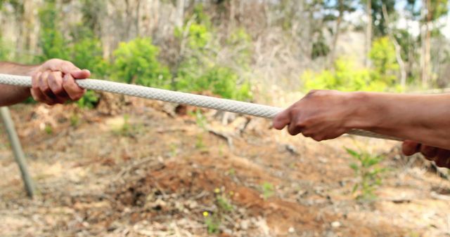 Hands Pulling Rope in Outdoor Tug of War Competition - Download Free Stock Images Pikwizard.com