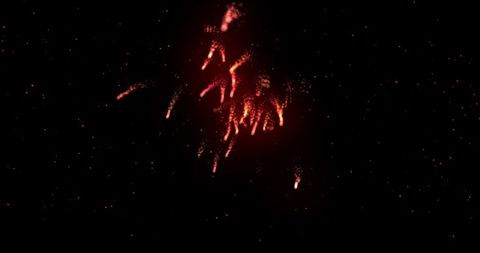 Vibrant Red Firework Burst Against Starry Night - Download Free Stock Images Pikwizard.com
