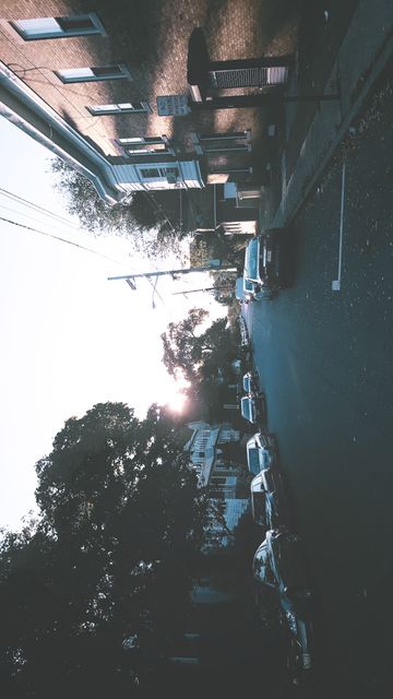 Urban Street at Sunset with Parked Cars - Download Free Stock Images Pikwizard.com