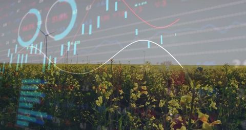 Sustainable agriculture and financial growth