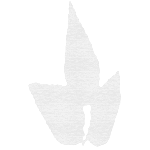 White abstract pattern on transparent background art illustration
