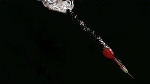 Red Dart Diving in Slow Motion Underwater Pursuit