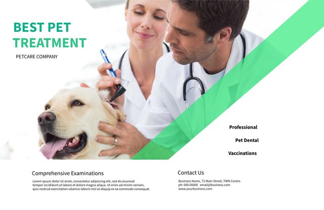 Veterinarian Providing High-Quality Pet Care to a Happy Dog - Download Free Stock Templates Pikwizard.com