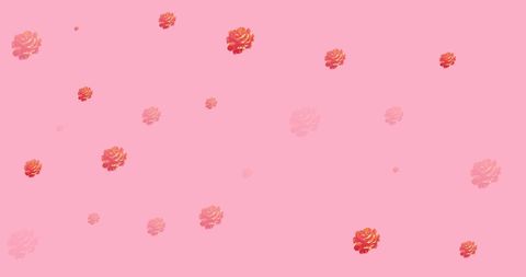Delicate Blossom Arrangement on Pastel Pink Background - Download Free Stock Images Pikwizard.com