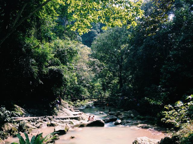 A serene scene with people enjoying the natural river surrounded by lush green foliage and sunlight filtering through the trees. Ideal for use in materials related to adventure travel, outdoor relaxation, nature, eco-tourism, and environmental preservation. Perfect for inspiring wanderlust and promoting eco-friendly activities.