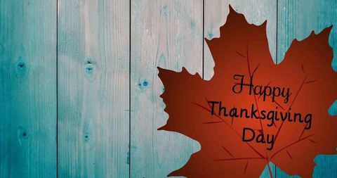 Thanksgiving day maple leaf on rustic teal wood background