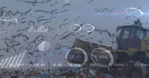 Environmental Impact: Statistics Overlay at Landfill with Seagulls - Download Free Stock Images Pikwizard.com