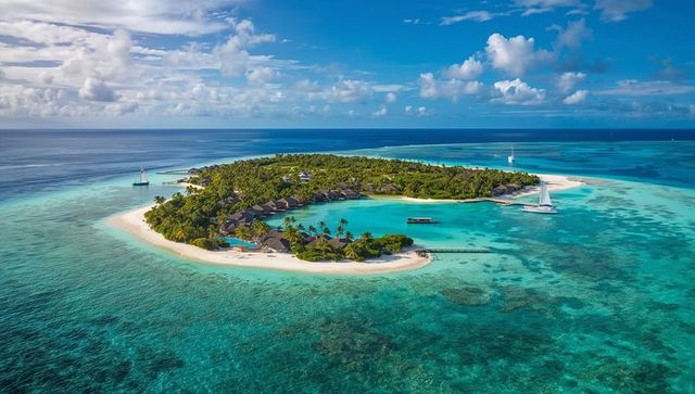 Turquoise lagoon island resort with overwater villas, palm-fringed beach and pier, aerial