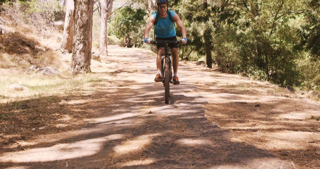 Man Cycling on Forest Trail in Sunny Weather - Download Free Stock Images Pikwizard.com