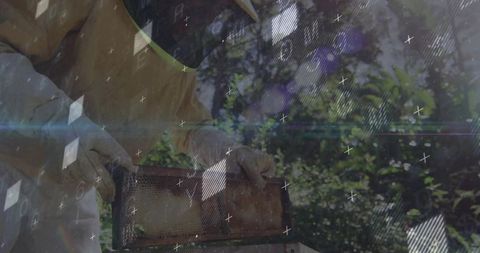 Beekeeper Examining Honeycomb Frame with Digital Overlays