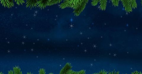 Winter Night Sky with Snowflakes and Fir Branches