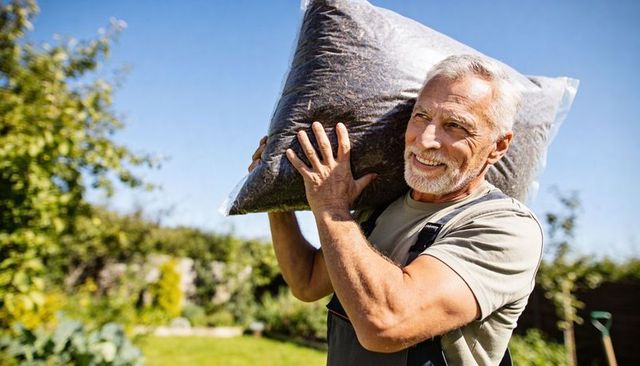 Senior gardener carrying bag of mulch on shoulder in sunny backyard