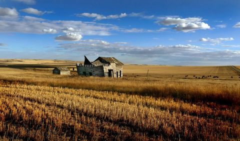 Abandoned Farmhouse in Vast Prairie Landscape with Blue Sky
