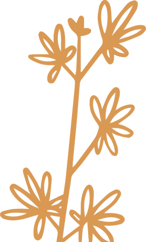 abstract floral line artwork with transparent background - Download Free Stock Videos Pikwizard.com
