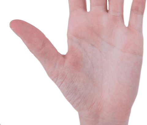 Caucasian Male Hand Transparent Background Isolated Gesture - Download Free Stock Videos Pikwizard.com