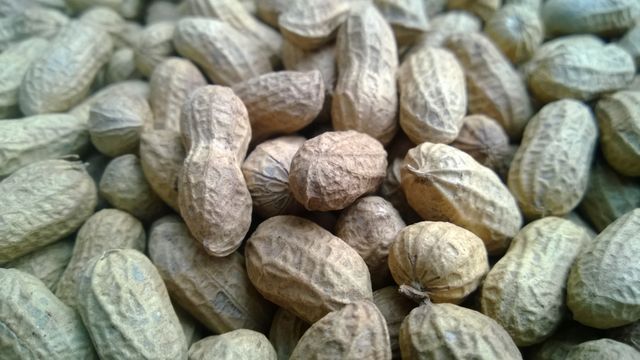 High-resolution close-up depicting a large pile of raw peanuts in their shells. Emphasizes texture and natural earthy colors. Useful for projects related to healthy eating, protein-rich snacks, organic and natural foods, cooking ingredients, and market promotions.