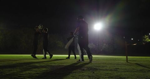 Night cricket team celebrating wicket under floodlights on grass field with bat and stumps