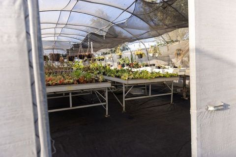 Nursery shadehouse with seedling benches, hanging baskets and succulent trays