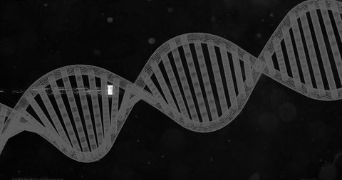 Digital DNA Strand on Black Background