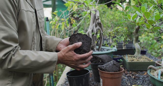 Gardener Planting Saplings in Pots at Outdoor Nursery - Download Free Stock Images Pikwizard.com