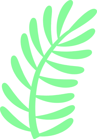 Stylized green botanical frond on transparent background