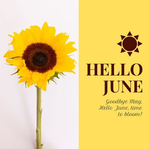 hello june greeting with vibrant sunflower - Download Free Stock Templates Pikwizard.com