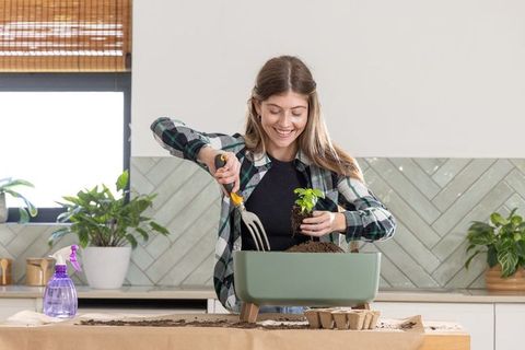 Young woman potting indoor plant on kitchen counter smiling during home gardening hobby