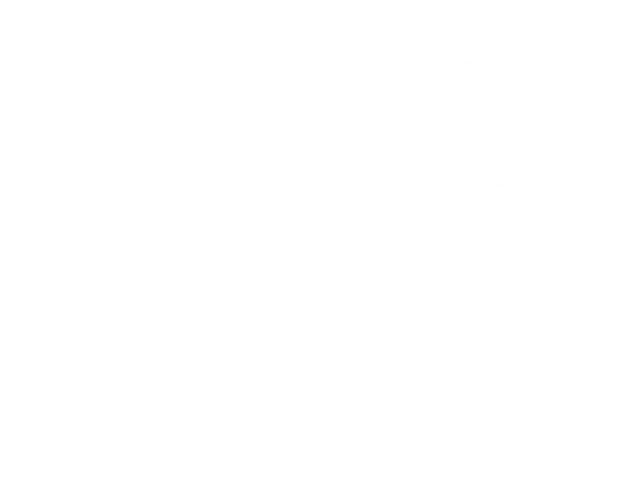 Transparent Silhouette of Sportswoman with Exercising Ball - Download Free Stock Videos Pikwizard.com